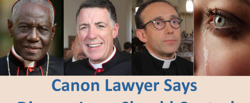 US Canon Lawyer Says Divorce Laws Should Control