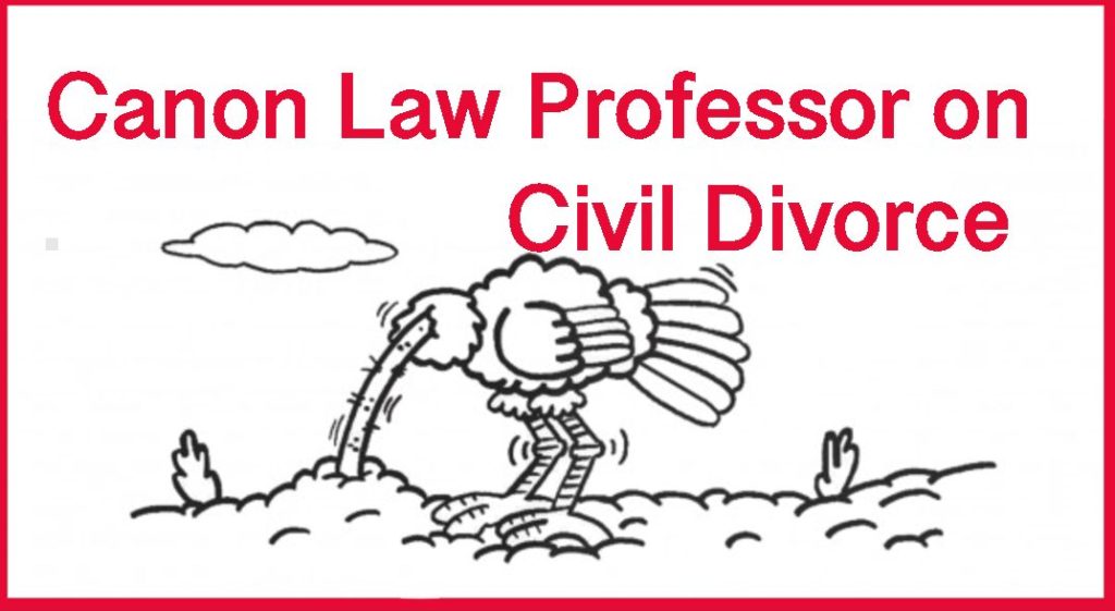 Even though no-fault divorce courts routinely order one party to violate his conscience and his deeply held religious beliefs, surprisingly, a canon law professor teaches that the civil courts have rightful authority to decide the man and wife’s obligations toward each other. The absurdities spewing from divorce judges are made obvious in the current case in Texas where a divorced Dad is being court ordered to pay for his son to be castrated.