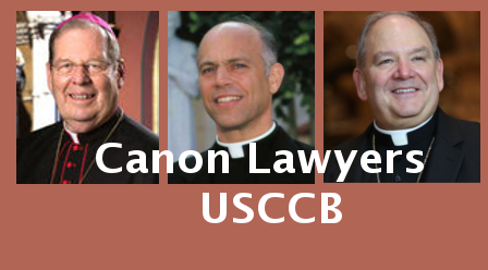 USCCB Canon Law Committee, Bai’s letter