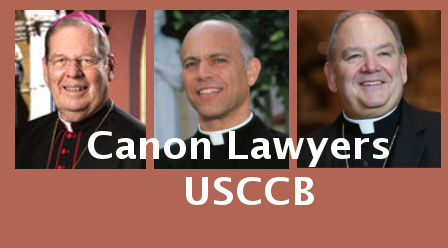 I am asking you to discuss in the USCCB canon law committee the need for the faithful to have our shepherds teach that many divorce plaintiffs are committing an immoral grave offense against nature when they file for divorce. ... Every wage earner who has been paying attention knows that marriage is a liability because the other spouse can invoke no-fault divorce to take the children and property