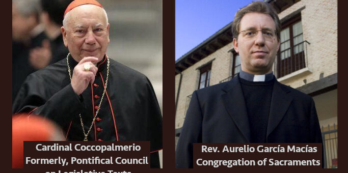 Who is right? Cardinal Coccopalmerio or Others?