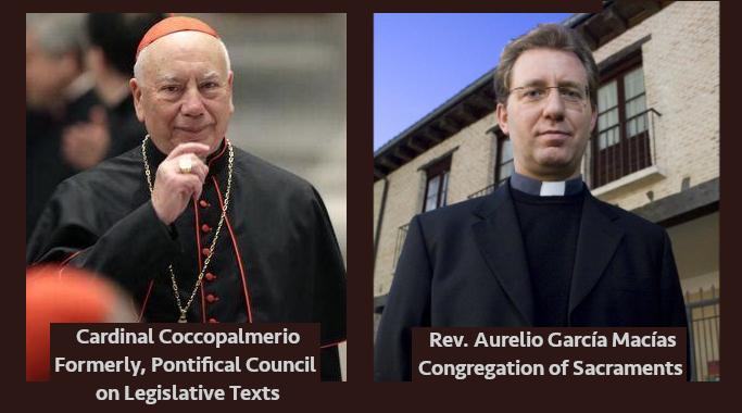 Who is right? Cardinal Coccopalmerio or Others?