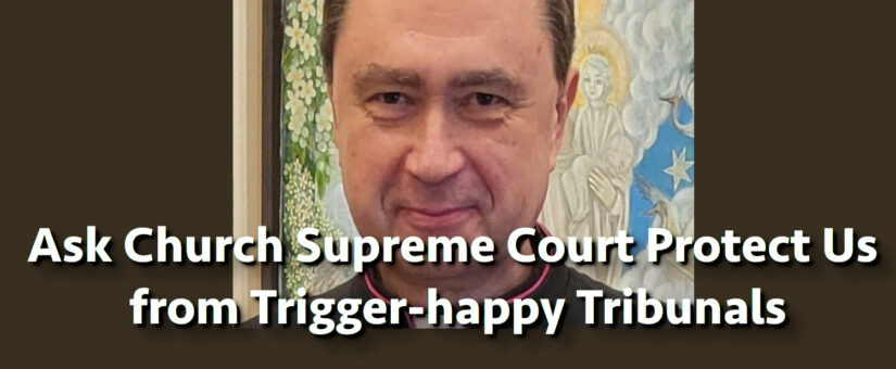Asking Church’s Supreme Court to Protect Marriage from Trigger-happy Tribunals