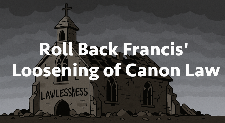 Separated Faithful Plea to Conclave: We Need to Roll Back Francis' Loosening of Canon Law.  I see cases where the other spouse fell prey to influencers that led them to abandon marriage after having multiple children and years of happy, thriving marriage. Abandoners force a government no-fault divorce on the whole family, and when they eventually petition a Catholic tribunal for an annulment, Pope Francis made it more difficulty for separated faithful to uphold marriage against accusations of invalidity.