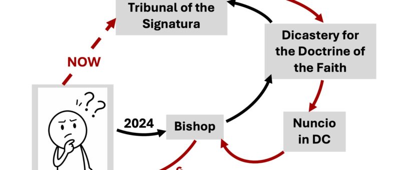 DDF Dodging Responsibility to Uphold Doctrine of the Faith